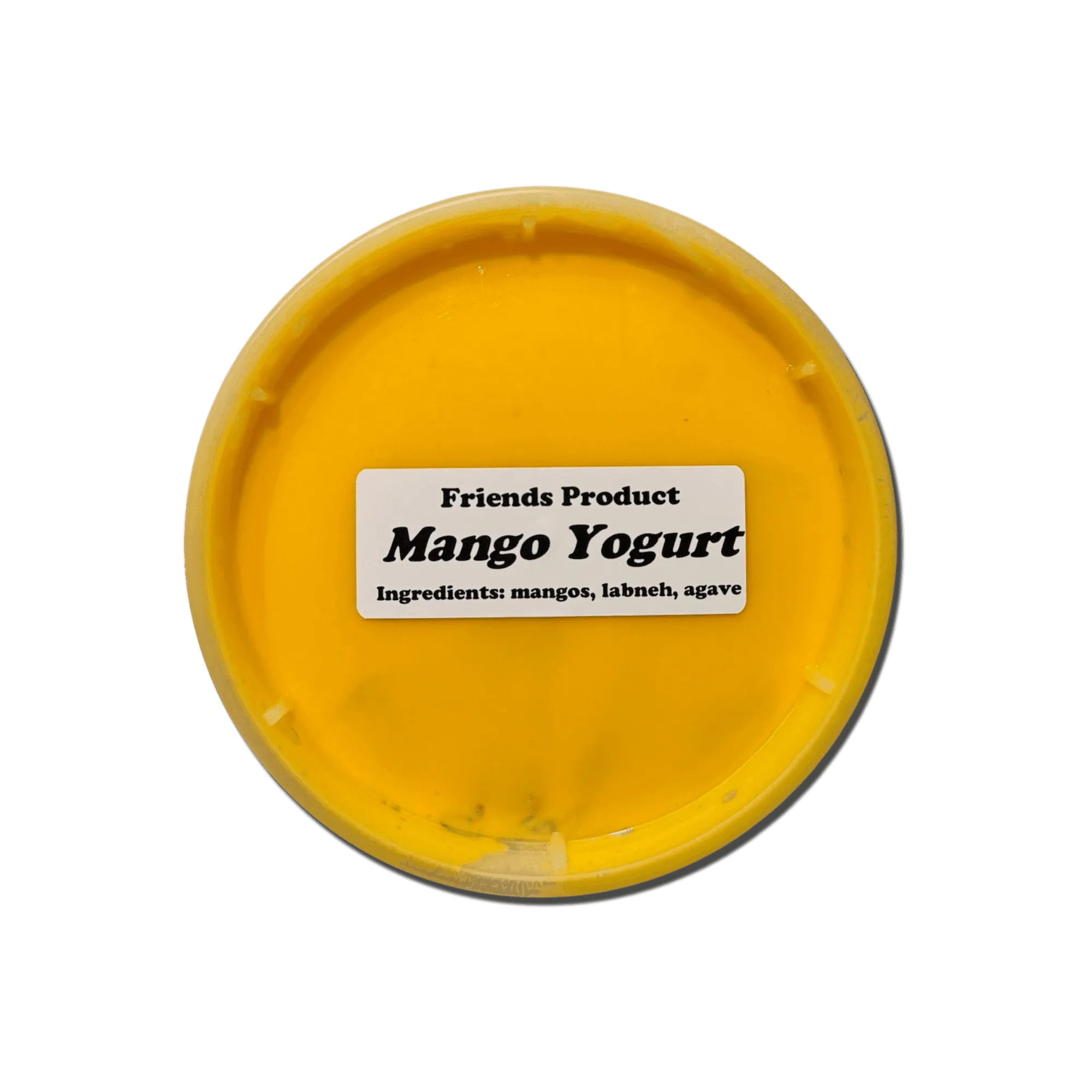Mango Yogurt
